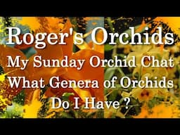 What Genera of Orchids Do I Have ?