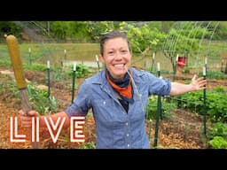 Ask Us Your Garden Questions! // April AOAT Livestream
