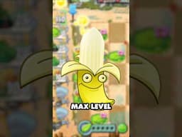 MAX LEVEL Banana Launcher in PvZ2!