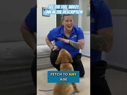 When Do You End A Dog Training Session?