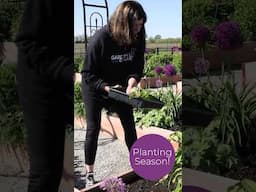 🌸 How a Cottage Garden Comes to Life | Garden Planning to Peak Bloom! #cottagegarden #growingflowers