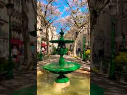 🇫🇷Paris in Spring🌸#travel #paris #paristravel #france