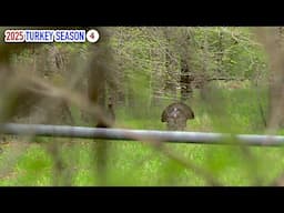 Will They Cross the Gate? First Time Hunting a New Area