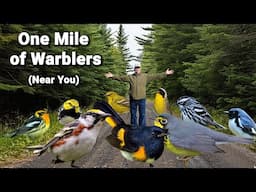 Find A Miracle Mile of WARBLERS Near You. It's easy.