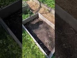 Raised Bed Garden! #garden #gardening #raisedbedgardening #homestead