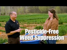 Pesticide-Free Weed Suppression