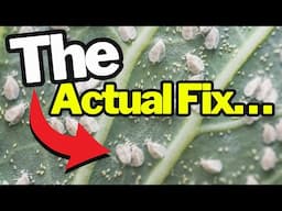 The #1 Way to Keep Garden Pests From Coming Back—Forever