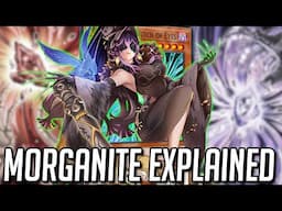 The Sinful Spoils Lore Isn't Done With Us Yet! [ Yu-Gi-Oh! Archetype Explained: Morganite ]