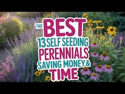13 BEST Self Seeding Perennials Saving Money & Time