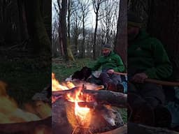 Low Profile Tarp shelters n Billydogs 10th Birthday #survival #camping #bushcraft