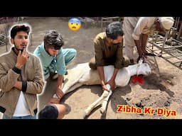 Hamza Shikari Ka Bakra Zibha Ho Gya💔 #3rd Day Of Eid