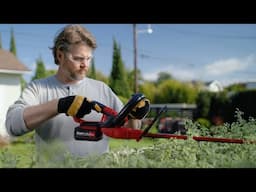 Keep Your Yard Looking Its Best with Bauer 20V Tools from Harbor Freight