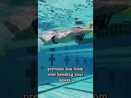 Fix Your Kick with DMC Fins, Kick Trainer & Finis Strap 💥