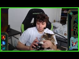 Cat Steals Dragon - Best of LoL Streams 2653