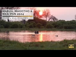 Mabua, Magotho & Nxai Pan | Wild, Wild Khwai! | Episode 3
