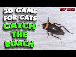 3D game for cats | CATCH THE COCKROACH (top view) | 4K, 60 fps, stereo sound