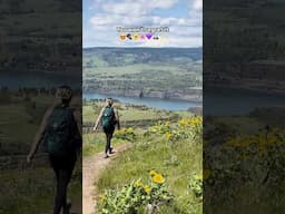 Have you checked out the wildflowers in the Columbia Gorge? 😍🥾🌼🌸💜🏔️✨ #oregon #travel