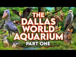 Zoo Tours: The Dallas World Aquarium | PART ONE