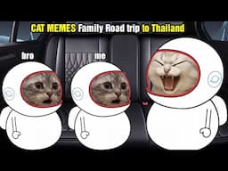 CAT MEMES Family Road trip to Thailand