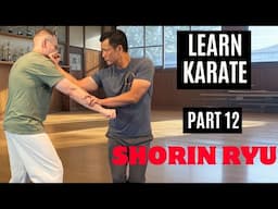 Martial Arts Tutorial | Shorin Ryu | PART 12 (Pinan Godan, Kata and Application)