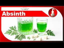 Absinth selber machen - Schnaps brennen als Hobby - diSTILLed