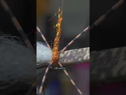 chubby chernobyl - Fly Tying Short #shorts #fishing #flytying #flyfishing