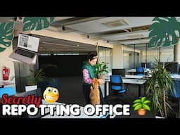 Sneaking into my work on Sunday to repot plants🕵‍♀️🪴🌿