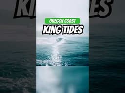 Oregon's King Tides  See the Ocean's Fury Up Close!
