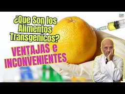 🌽🔬 QUE SON LOS ALIMENTOS TRANSGÉNICOS Y CUÁLES SON SUS VENTAJAS E INCONVENIENTES 🍅⚖️