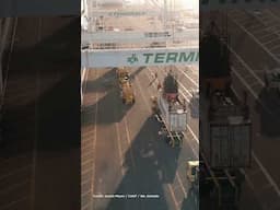 This is Live Export.