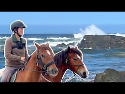 RIDING MY HORSES ON THE BEACH!