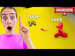HIDE & SEEK In ONE COLOUR Brookhaven (we went undetected) w/ The Norris Nuts