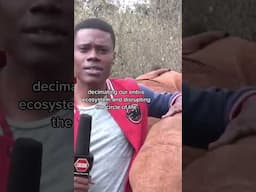 Elephant interrupts journalist during news report in Kenya