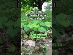All to thee my blessed savior | I surrender all | Lydia Walker | Christian Music | Acoustic Hymns