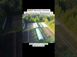 👨‍🌾👩‍🌾‼️ Warsztaty rolnictwa regeneratywnego w Wielkopolsce! #rolnictwo #ogród #ogrodnictwo