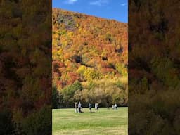 Arrowtown: New Zealand Autumn wonderland #newzealand #Arrowtown #southisland #walkingtour