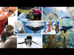 Marine Biology Livestream!
