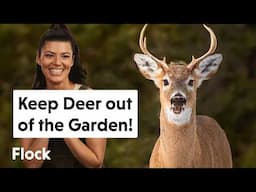 How We're Keeping DEER Out of the GARDEN  & LAND — Ep. 298