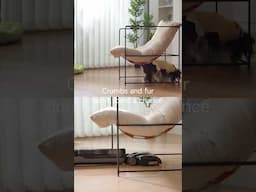 Dreame H15 Pro | A clean home just feels right