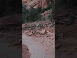 Trail has so many options, so much scenery!