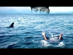 Abandoned In The Middle Of The Ocean