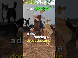 How To Make $2500 Per DAY Dog Sitting!