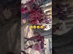 Pankaj Dwivedi Holi Song #song #bhojpuri #video