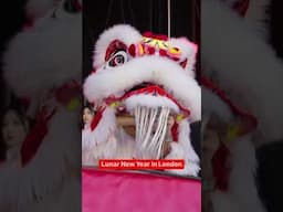 Chinese New Year in London! 🎆🇨🇳”