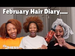 AM I THE ISSUE!? Hair struggles and goals + Foam Wash and Go's + Hair yapping| February Hair Diary