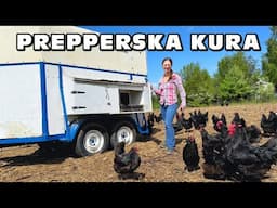 „Prepperska kura” - Zuzanna Szmidel, Wydawnictwo Regeneratywnie.pl - Zawiercie, Maj 2025