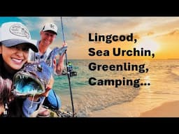 Surf Fishing Lingcod + Guided Catch & Cook Overnights?!