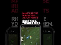 Work Smarter with Lynx Drive