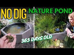 One year on, the EASIEST WILDLIFE POND I have built. How has it done?