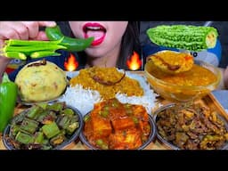 ASMR VEG FOOD MATAR PANEER, KARELA FRY SABZI, BHINDI FRY, ALOO BHARTA, DAL CHAWAL RICE Eating Sounds